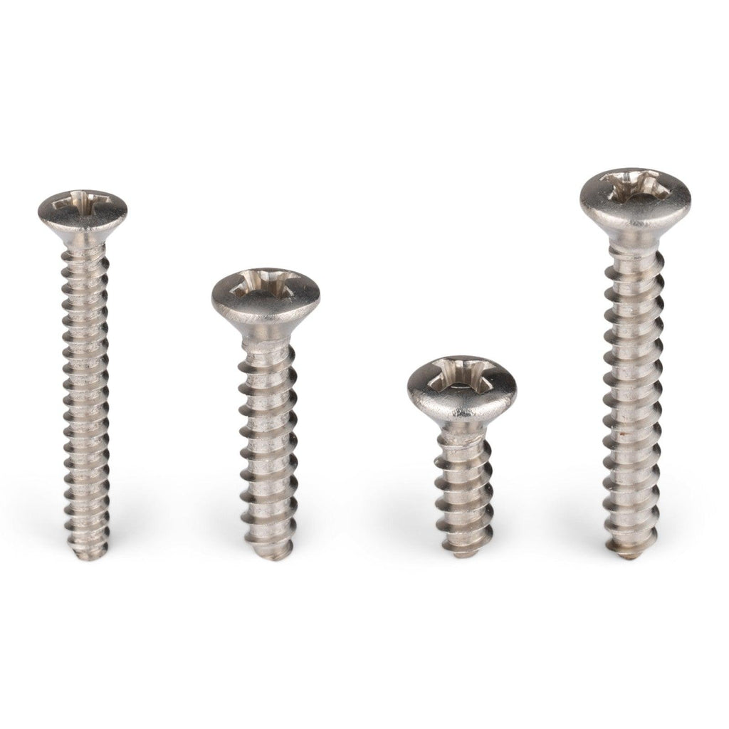 Auveco Stainless Steel Screws 