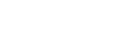 Overlay Logo