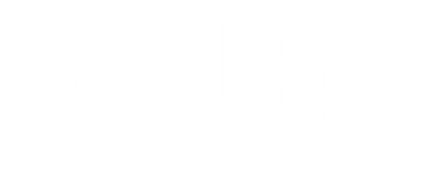Overlay Logo